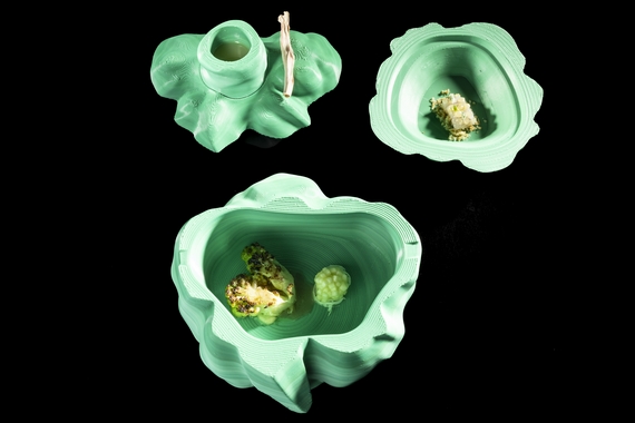 2.Spin the Cauliflower_Michele Antonelli__credits Brambilla-Serrani itin 23 570.jpg