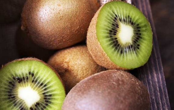 kiwi frutto 1 570