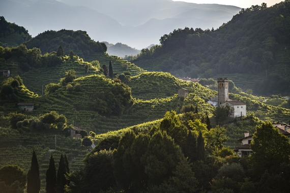 Le colline del Conegliano Valdobbiadene Prosecco riconosciute Patrimonio Unesco photo credits Arcangelo Piai 570