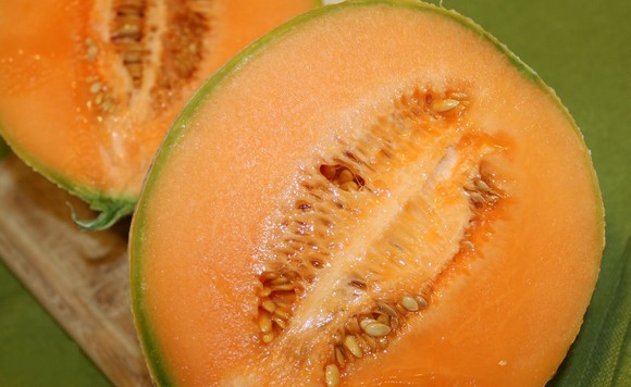 Melone Mantova580