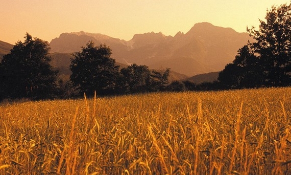 paesaggio campo farro garfagnana 570