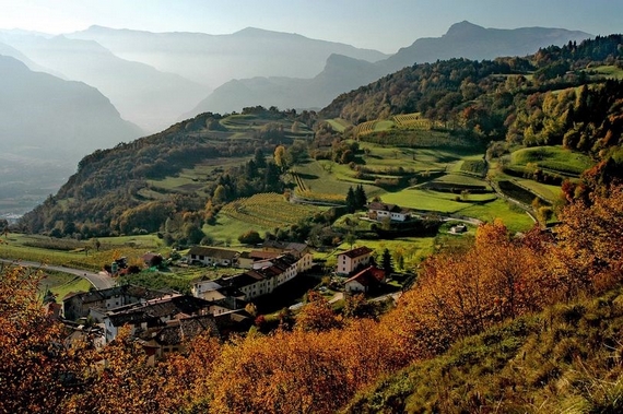 paesaggio trentino vigna eccellente 2021 570