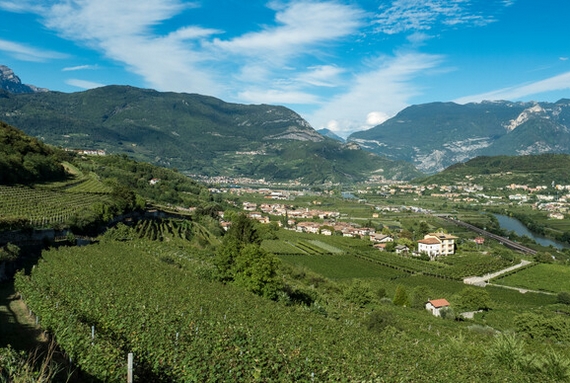 vallagarina isera vigna eccellente 570