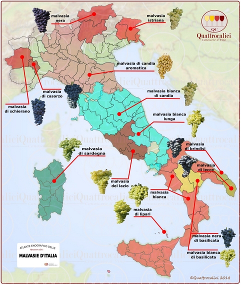 Malvasia vitigni Italia cartina 570
