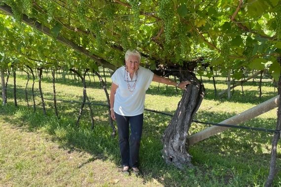 Mirta Menestrina tra le vigne centenarie itin 22 570