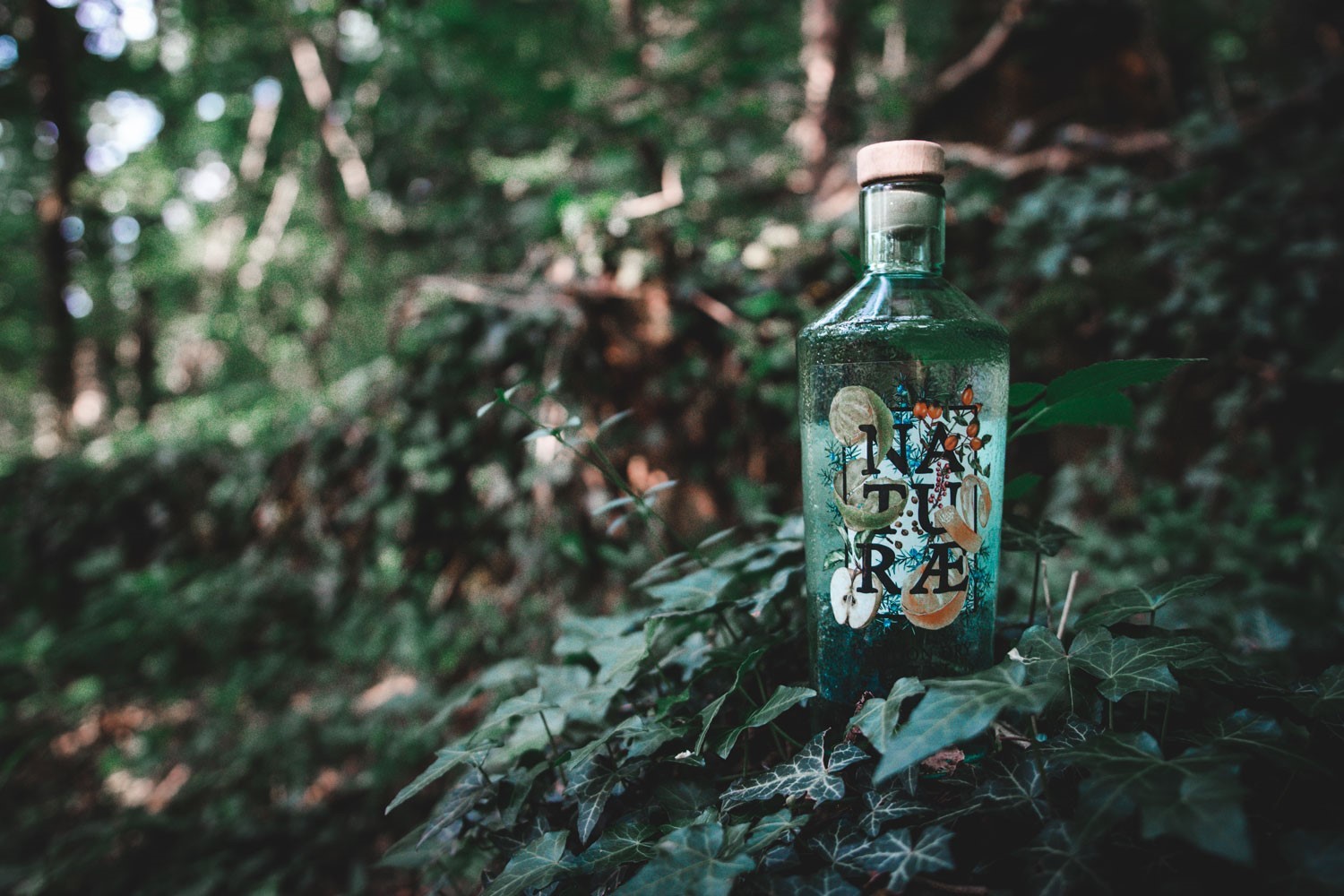 Natur Gin Bottiglia nel sottobosco 1500px