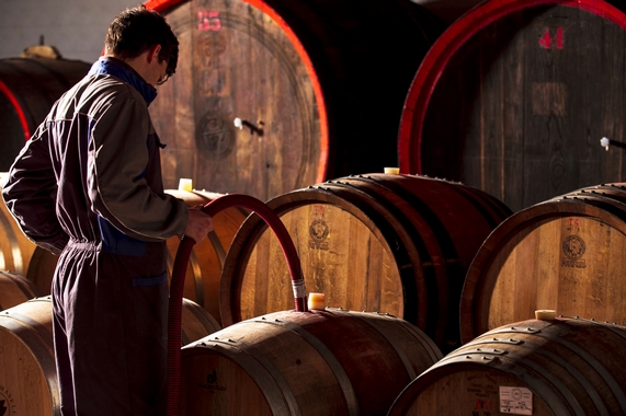 Tenute Tomasella itin cantina 22 570