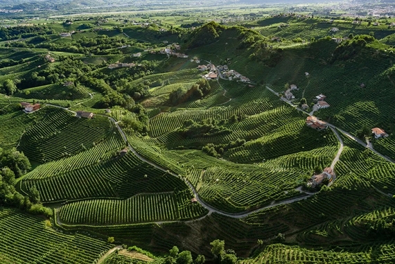 colline di Valdobbiadene patrimonio dellUnesco colvetoraz casagrande itin 22 570