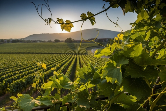 la franciacorta paesaggio vigneto itin 22 570