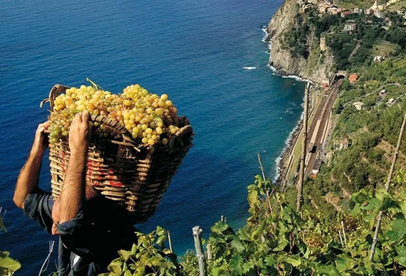 viticultura eroica sasagrande 1 itin 22 570
