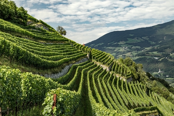 viticultura eroica sasagrande 5 itin 22 570