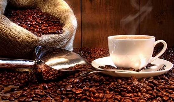Caffetteria Goppion a Mestre 07 570