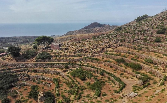 Pantelleria gradoni eroici agricoltura passione foto itin 22 570