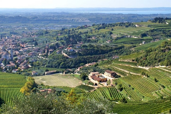 Valpolicella Consorzio Valpolicella itin 22 570