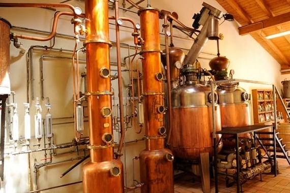 alessandro marzadro grappa trentina 23 casagrande 04 570