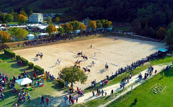 cantiano fiera cavalli tipicità marche 23 02