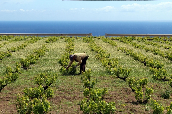 feste 22 passito pantelleria comolli 2 itin 570