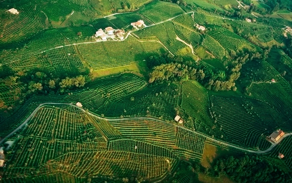 prosecco superiore valdobbiadene 23 570