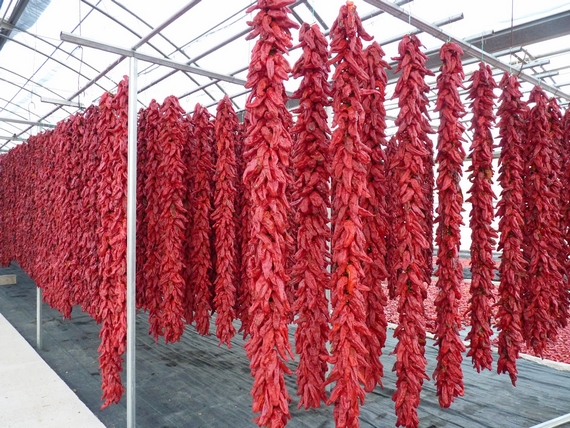 rapporto turismo enogastronomico casagrande emilia 23 06