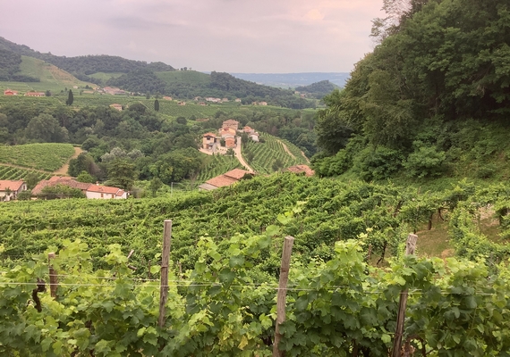 saccol si mostra valdobbiadene 05