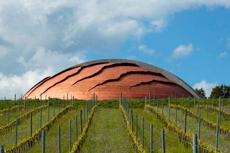 tenute vini lunelli casagrande 24 04