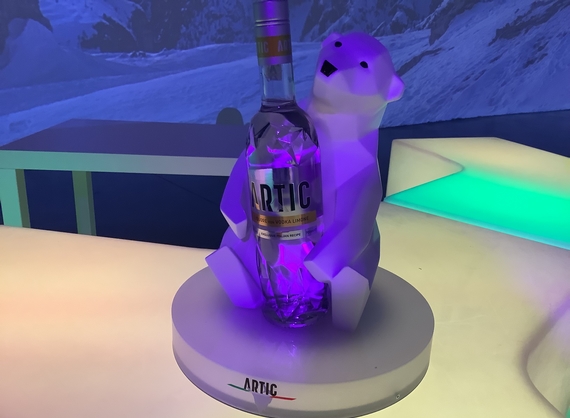 Artic bear 1 big 2022 570.jpg