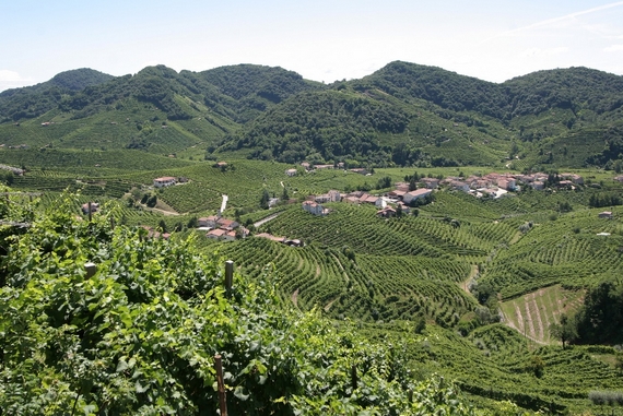 COL_VETORAZ_panorama_e_bosco_2_570.jpg