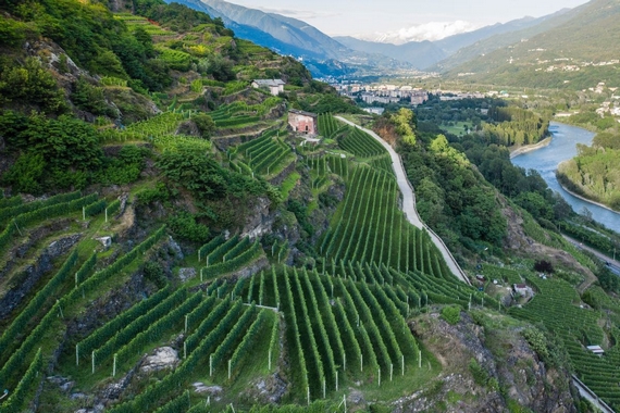 valtellina identità golose alessandro negrini vini 12 itin 22 570.jpg