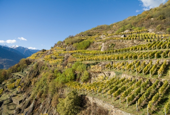 valtellina identità golose alessandro negrini vini 8 itin 22 570.jpeg