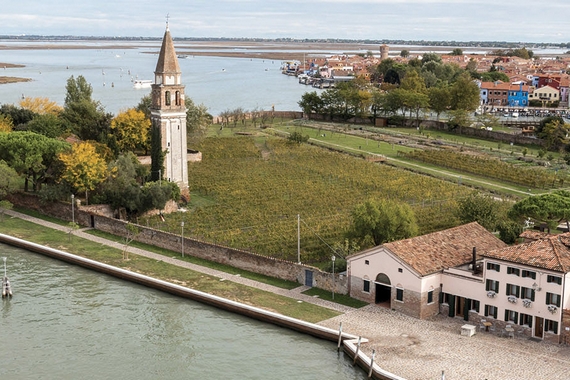 vigneto Venissa isola di Mazzorbo (Venezia) itin 23 570.jpg