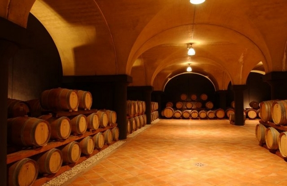 Cantina cantarutti 570