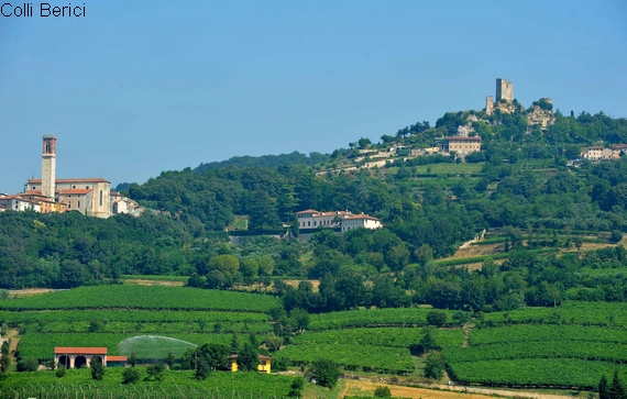 Colli Berici DOC paese soppressa txt 570
