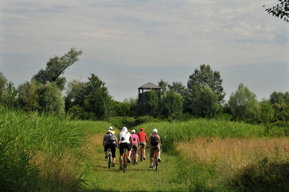 Consorzio Visit Ferrara Valli di Argenta pedalata 570