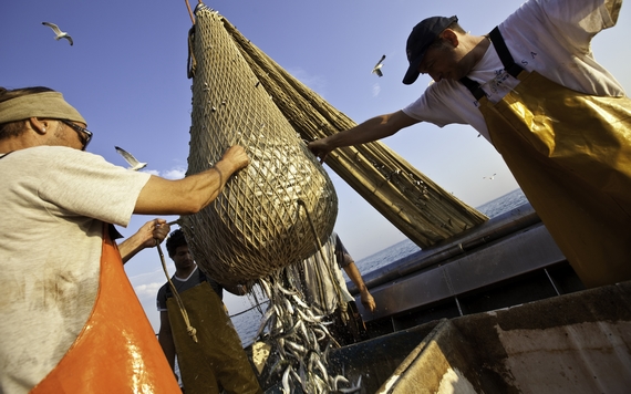 Grado Pescatori phAlessandroCastiglioni 570