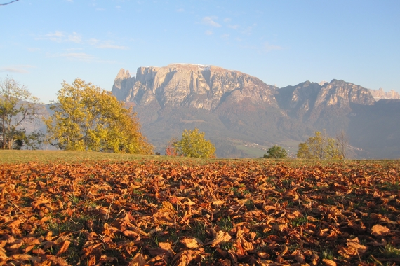 Hotel Weihrerhof Foliage Credit Associazione Turistica del Renon 570