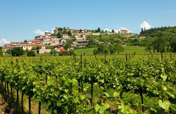 Lantieri Azienda 570