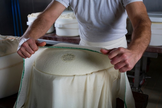 Messa in fascera grana padano 570