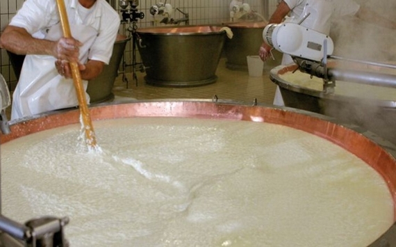 PREPARAZIONE PARMIGIANO REGGIANO 570