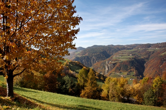 Romantik Hotel Turm Foliage 570