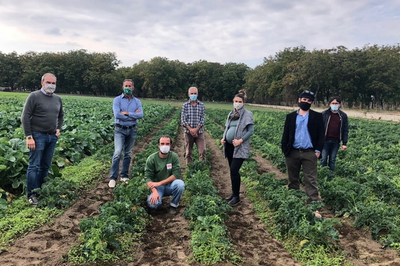 Torzella 3 campo agricoltori slow food 570