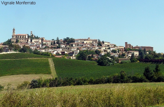 Vignale Monferrato panorama 570