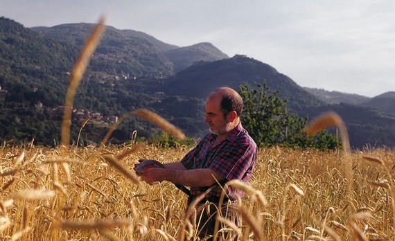 agricoltore farro garfagnana 570