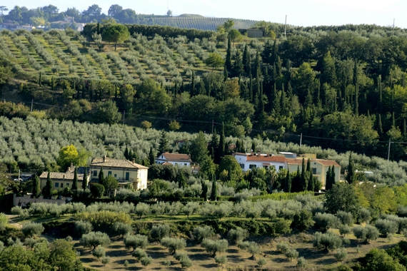 azienda persiani 570