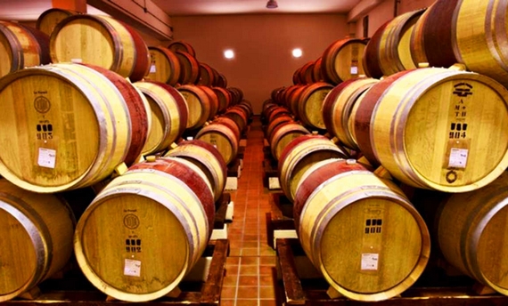 botti azienda cerro 570