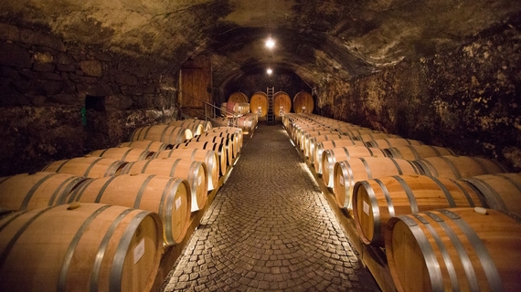 cantina botti mettmeir 570