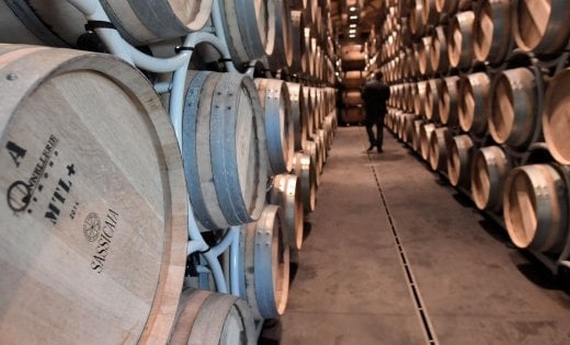 cantine san guido sassicaia 570