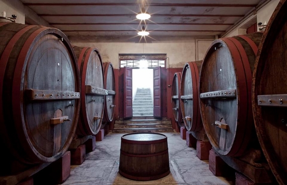 cantine verdicchio 570 bucci