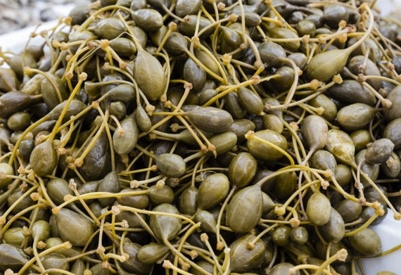 capperi pantelleria zibibbo 01 570 23