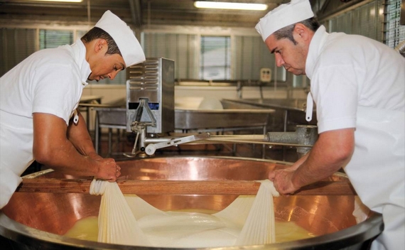 forma caldaia 570 preparazione parmigiano