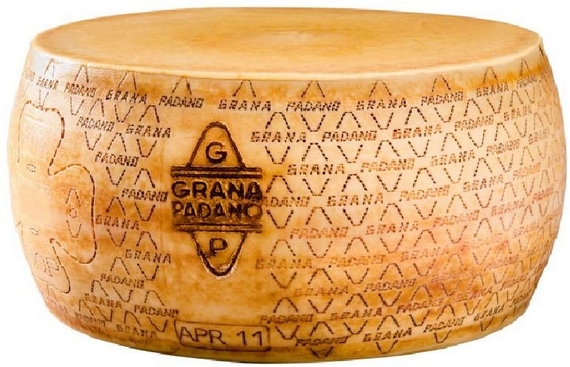 forma intera grana padano 570